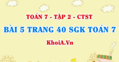 Bài 5 trang 40 SGK Toán 7 tập 2 Chân trời sáng tạo